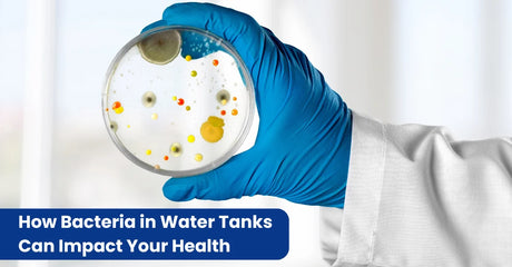 How Bacteria in Water Tanks Can Impact Your Health and What You Can Do