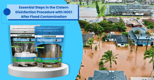 Essential Steps in the Cistern Disinfection Procedure with HOCL After Flood Contamination