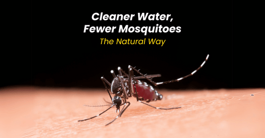 best mosquito and insect repellent