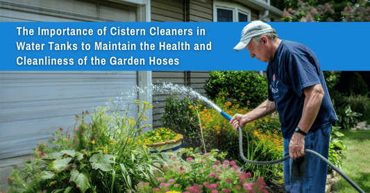 best cistern cleaner