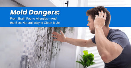 Mold Dangers - From Brain Fog to Allergies 