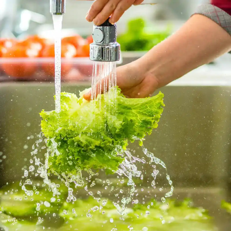 solutions hocl formula for hypochlorous acid use in animal produce washing