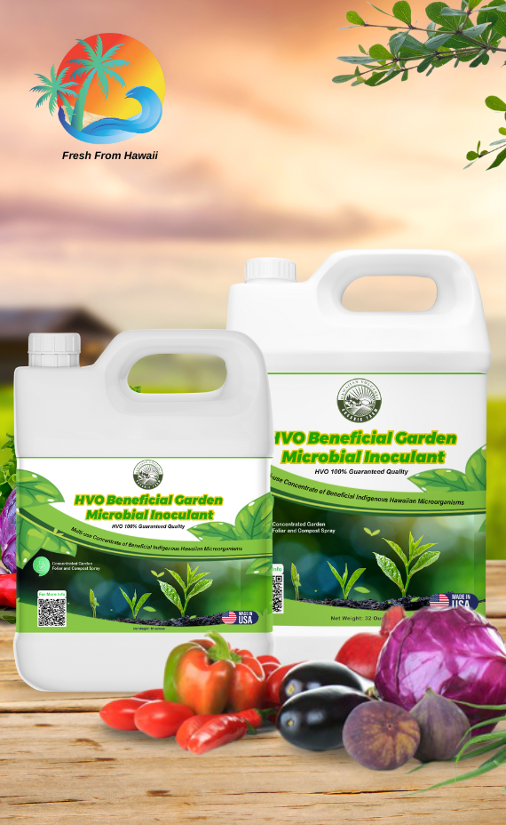 tumble living food scraps