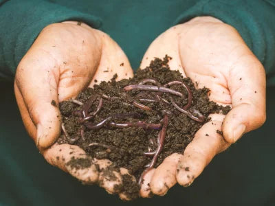 Effective Microorganisms Bokashi Composting
