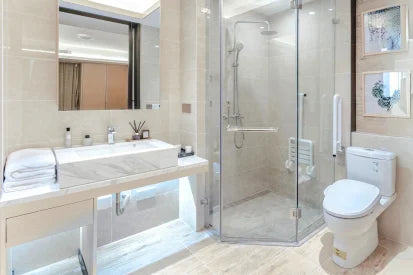 Guests Bathrooms and toilet cleaner