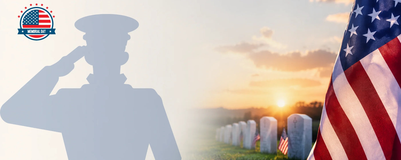 Silhouette of a person saluting with an American flag and sunset over a cemetery in the background