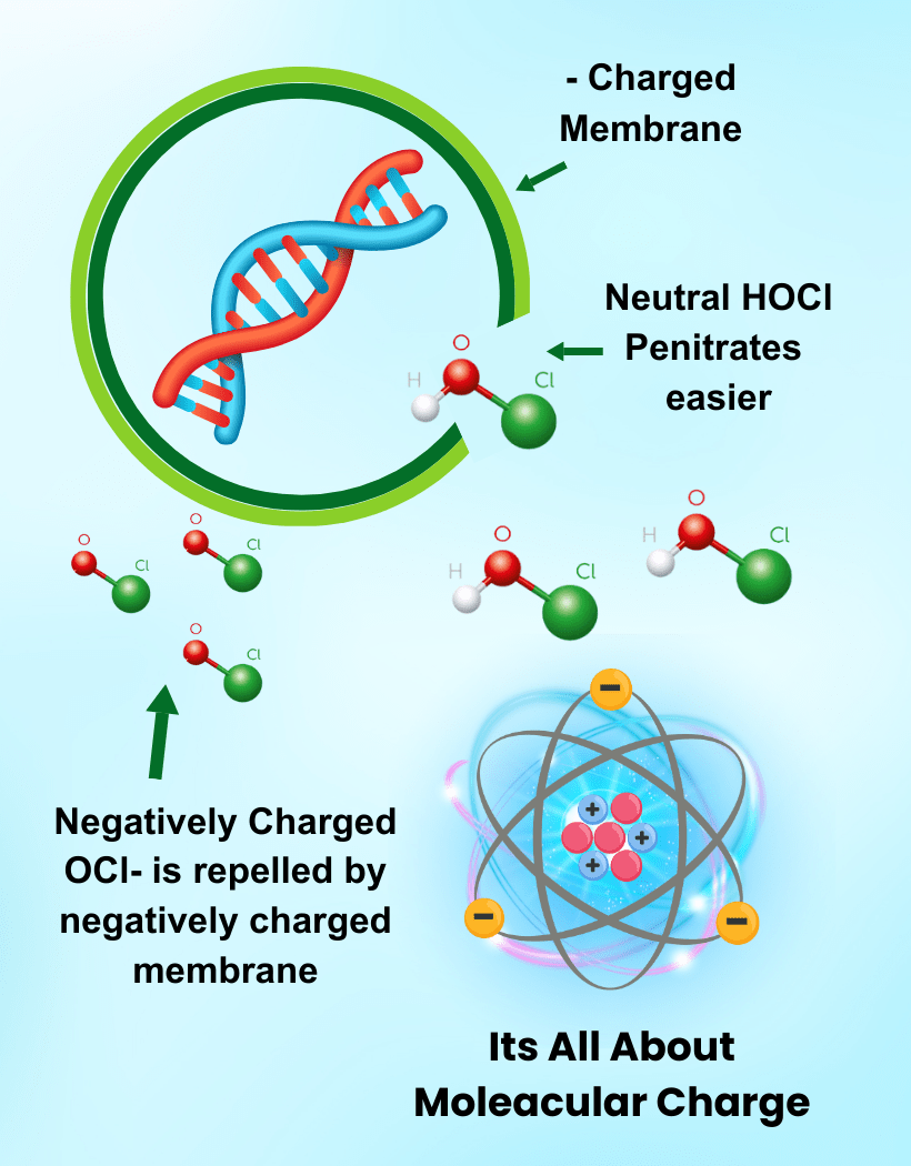 hypochlorous acid generator