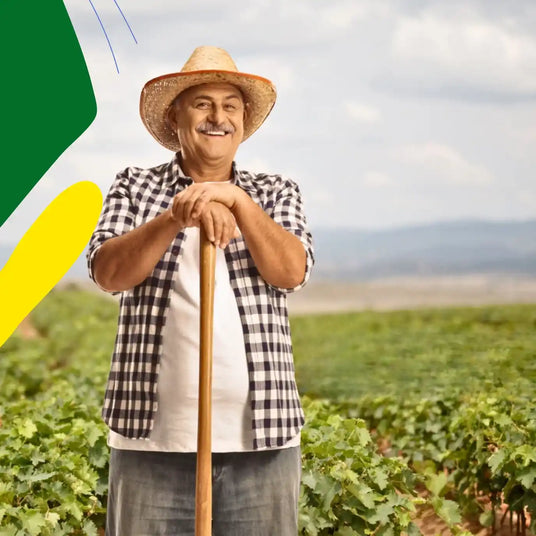 solutions hocl acid uses in agriculture