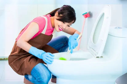 the works toilet bowl cleaner and Homeowners Bathrooms