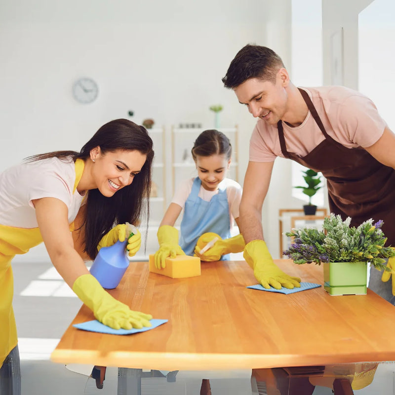 general purpose adhesive cleaner for homes