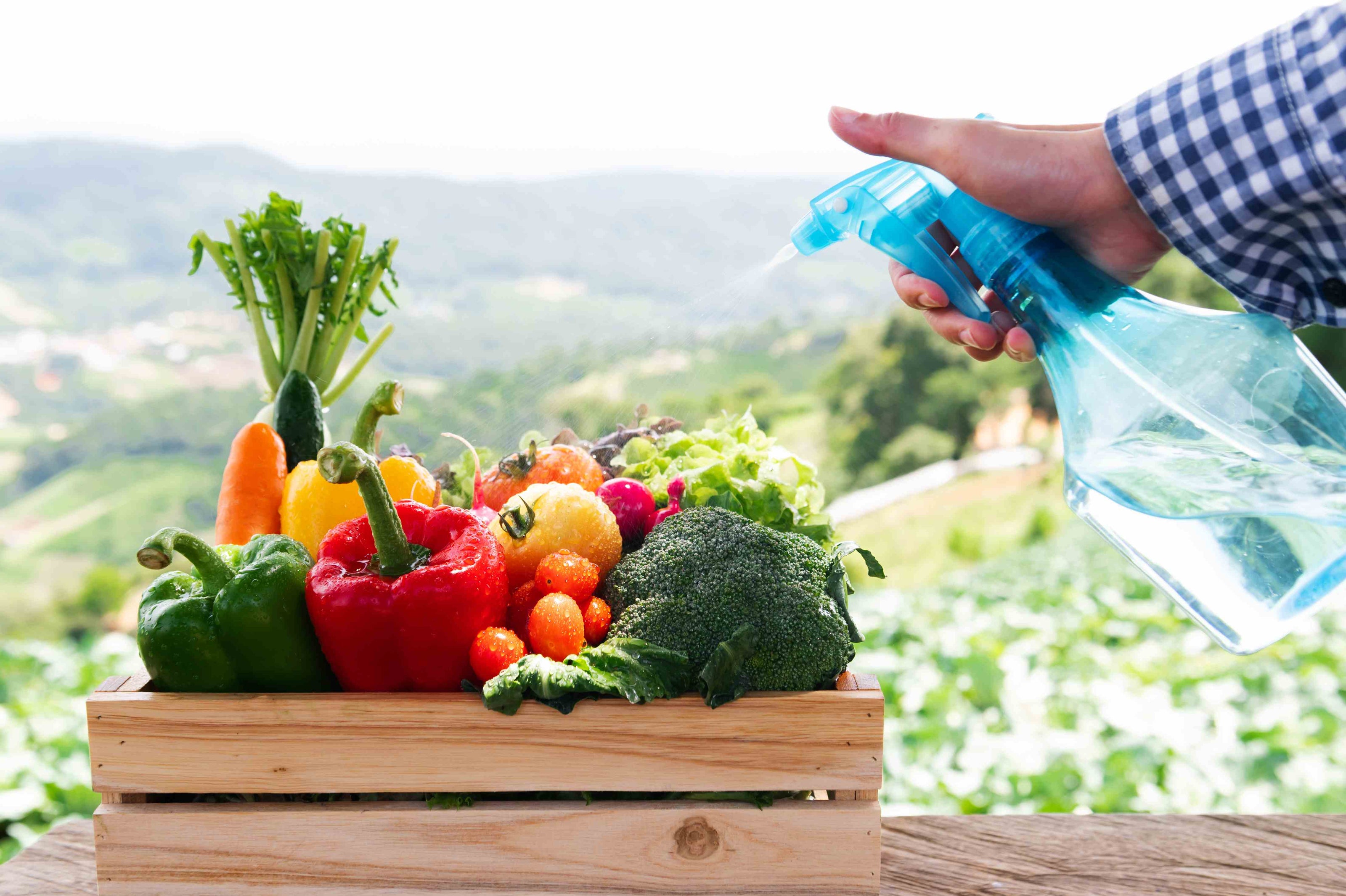 best way to spray on fruits 