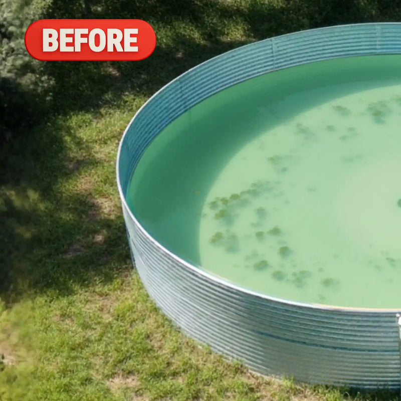 Metallic oval pool with green water on grass, labeled 'BEFORE'.