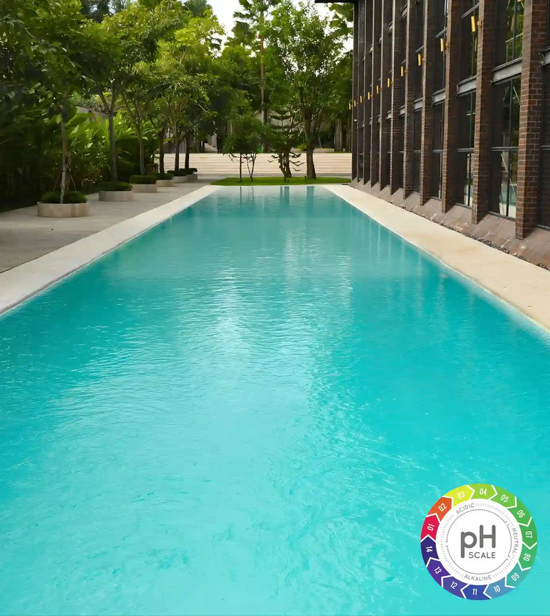 Tropical pool area with clear blue water, surrounded by trees and a building.