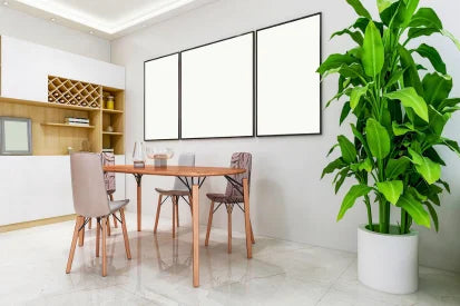 clean restaurants dinning areas with solutins hocl (hypochlorous acid) cleaner