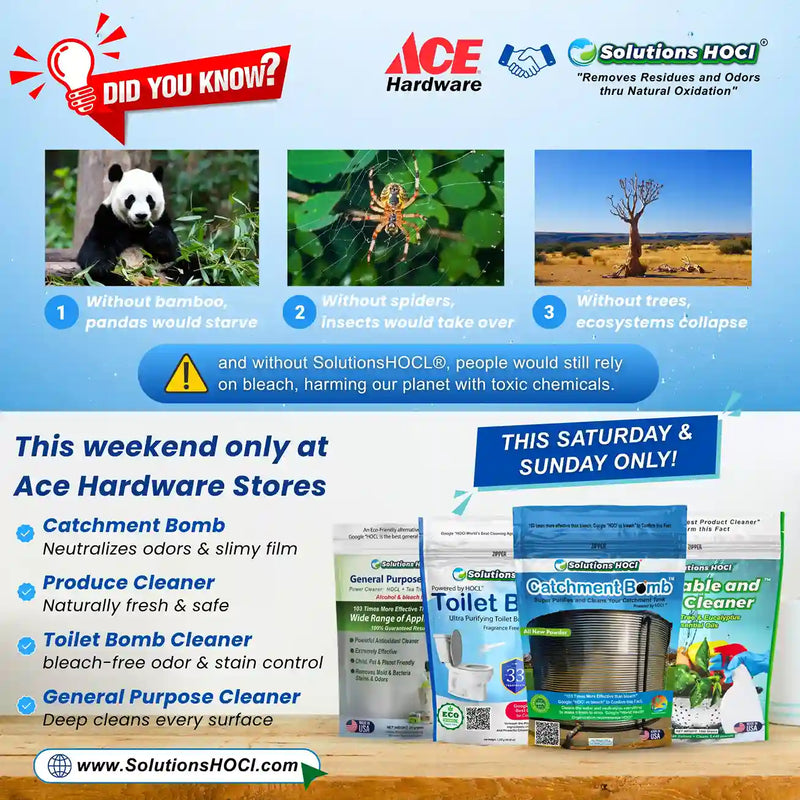 Advertisement for ACE Hardware products with images of a panda, spider, and tree, and text about Solutions HOCI.